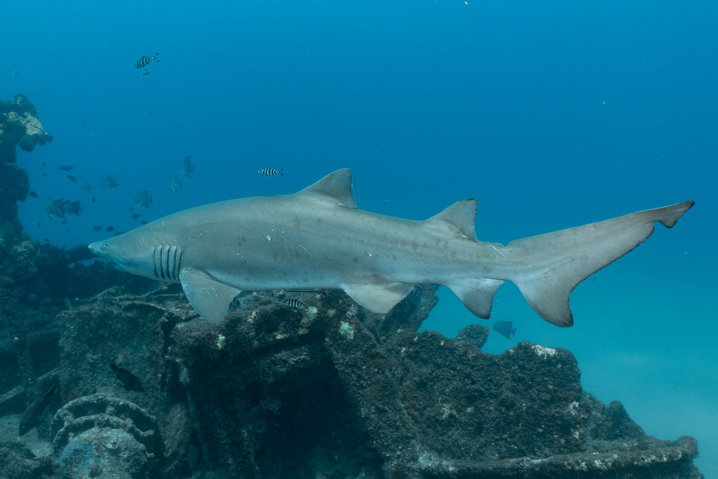 f92ac308-9e6e-4b96-af63-ba2edb434640