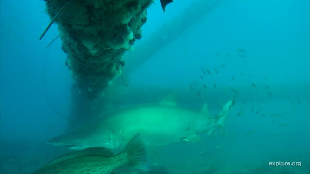 7df8b7a0-25ff-4e57-bc79-b1c870b7ab19