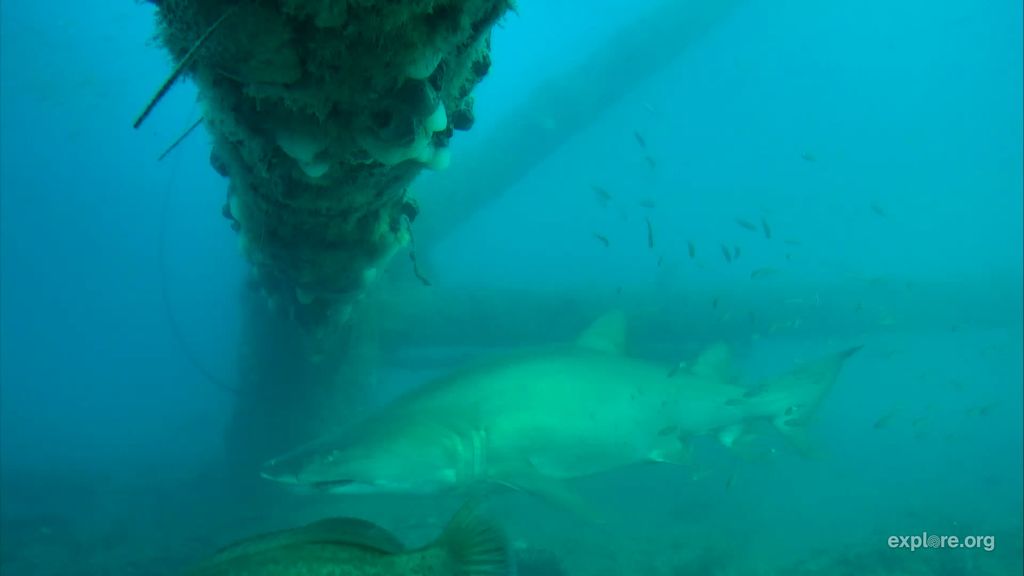 7df8b7a0-25ff-4e57-bc79-b1c870b7ab19