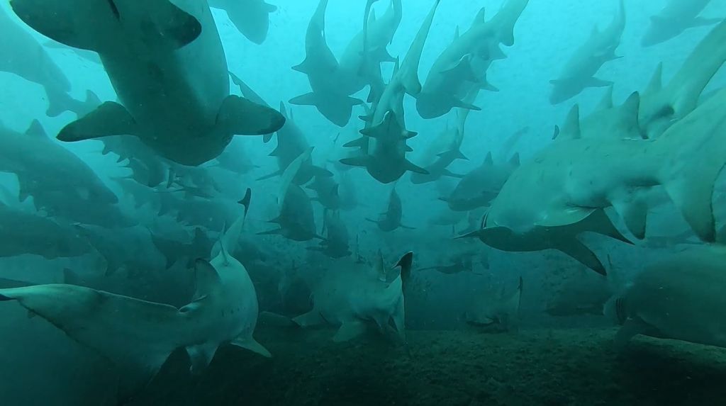 4f84a7be-cbc7-4be0-9c3a-299e3f4e7c82