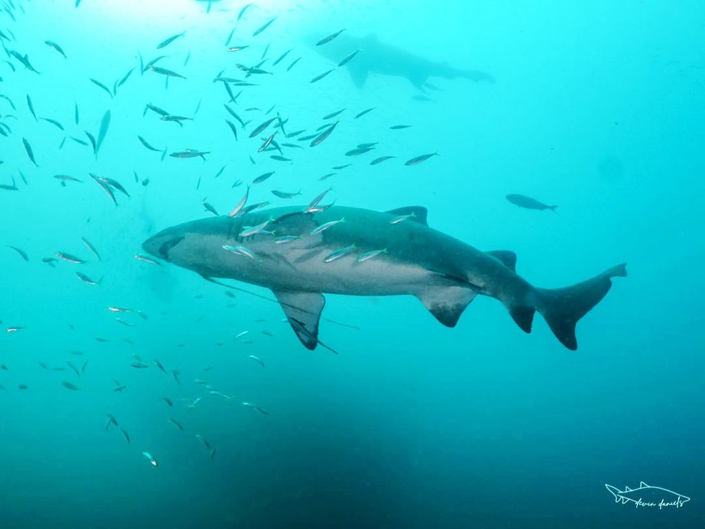 c31ab199-55b5-4fe8-82d1-f0679ff5e3ed