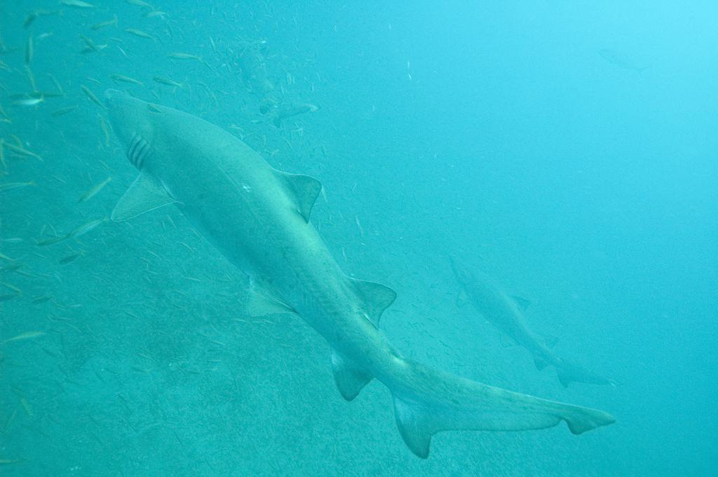 f9059bea-6dbd-4140-a0ee-143e7e192aa2