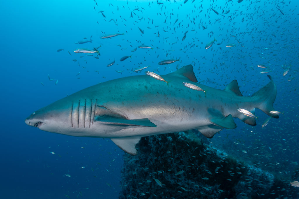 5e30ec7f-3823-44ac-9c4b-dbf1994b78e7