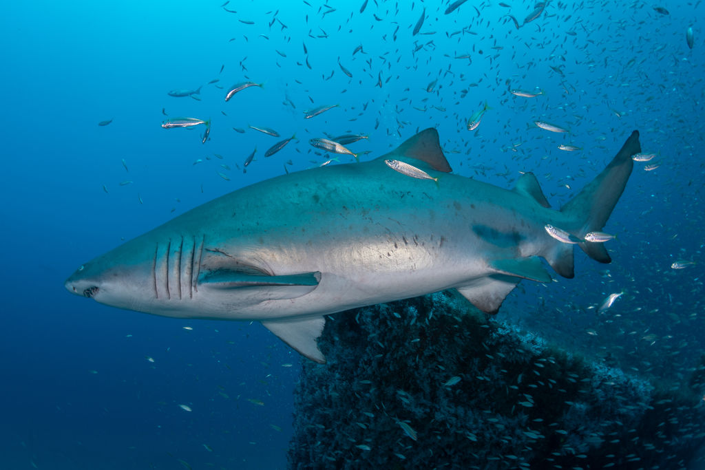 5e30ec7f-3823-44ac-9c4b-dbf1994b78e7