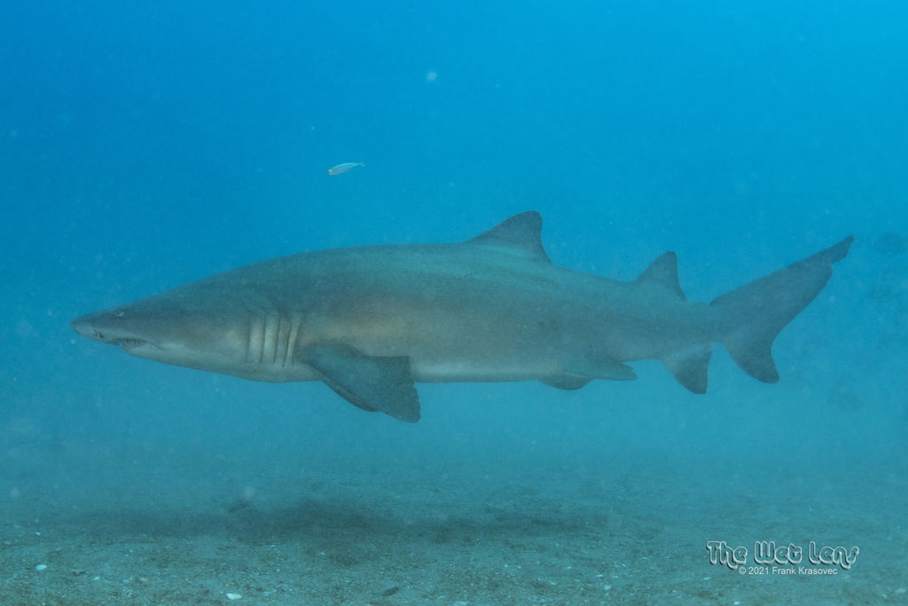 b6c07216-6e76-4e01-960b-7f97a496061d