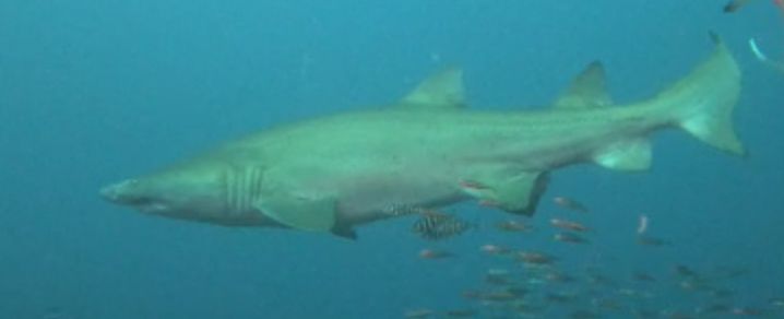 38d0b386-ea95-4244-a558-8643015ca20a