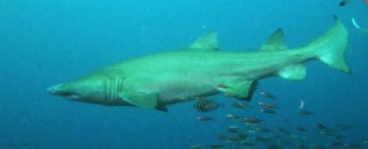 38d0b386-ea95-4244-a558-8643015ca20a