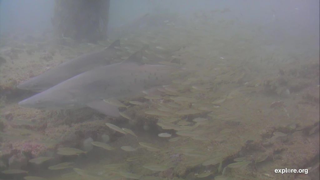 dce5b22b-1728-496e-aaa5-cf23c8d9be86