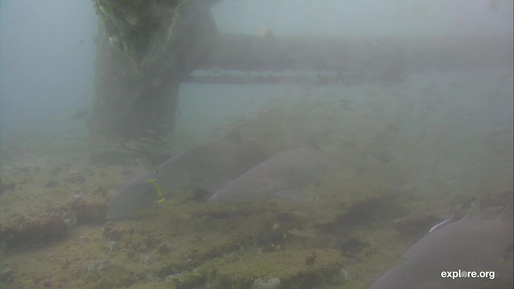 dce5b22b-1728-496e-aaa5-cf23c8d9be86