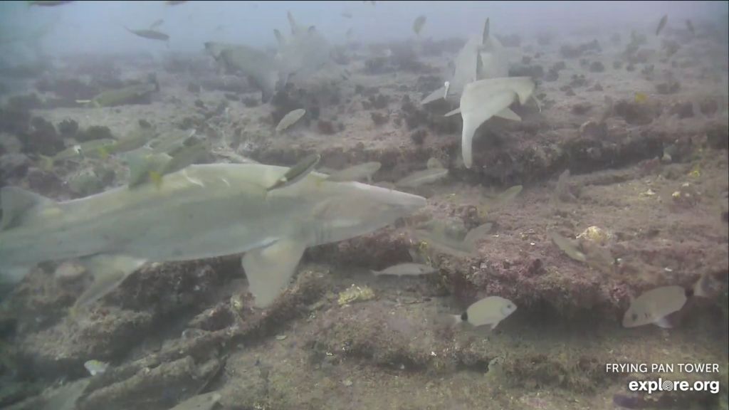 b7ed815c-64e5-47fa-b89f-de5a93688723