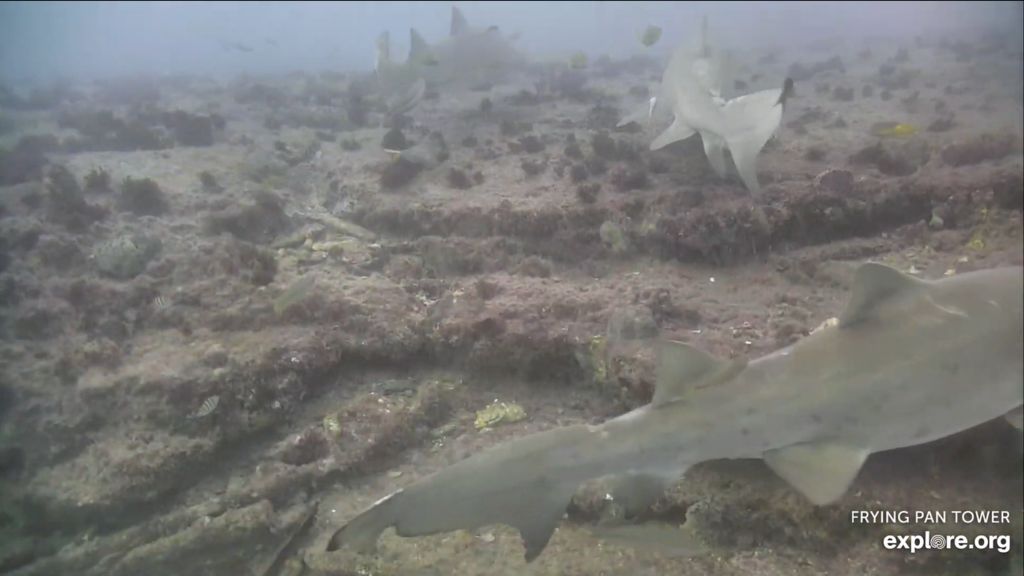 b7ed815c-64e5-47fa-b89f-de5a93688723