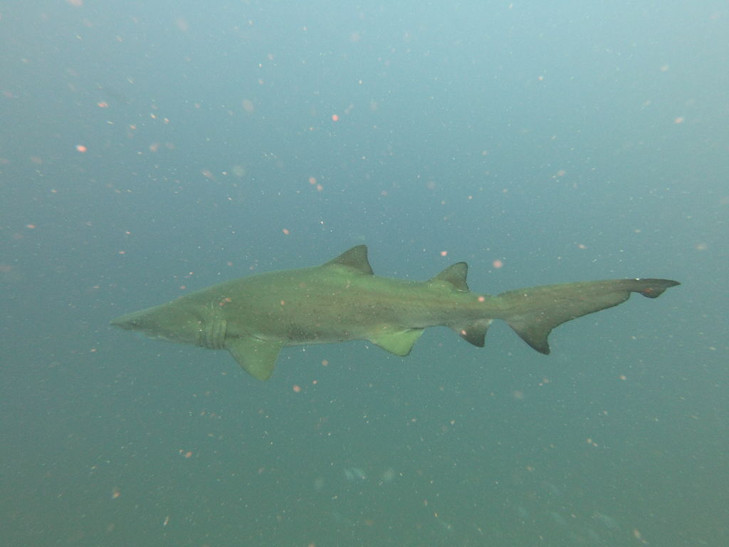 1f41c22f-1596-42aa-9747-ad432ba33f18