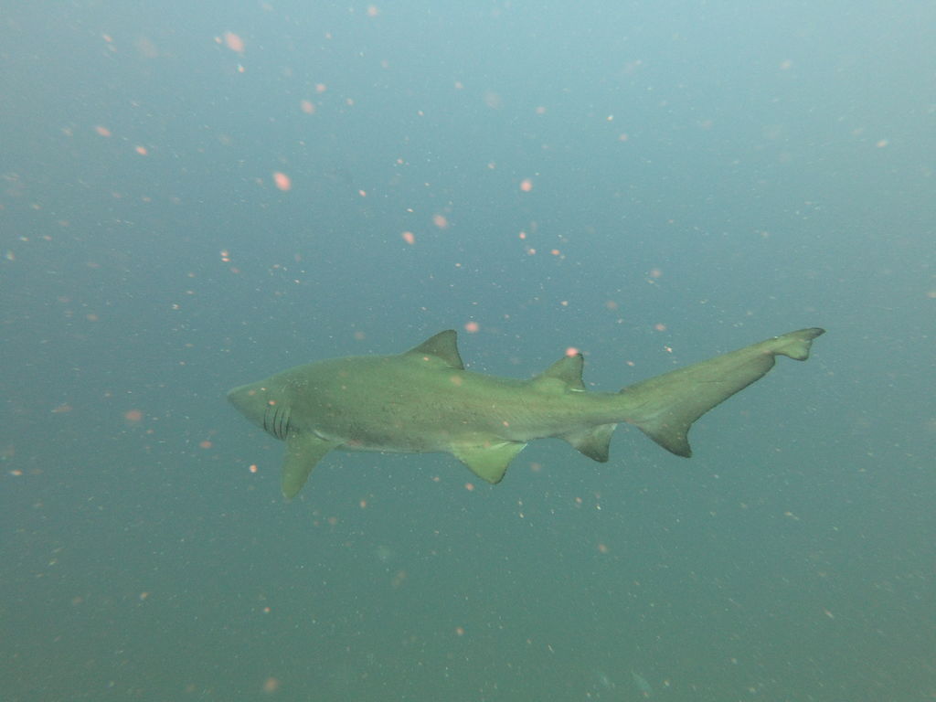 1f41c22f-1596-42aa-9747-ad432ba33f18