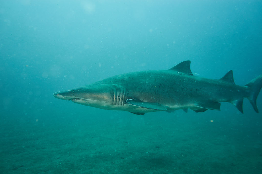 0d7680af-6122-4f2b-b353-ab7a5ce1c7ee