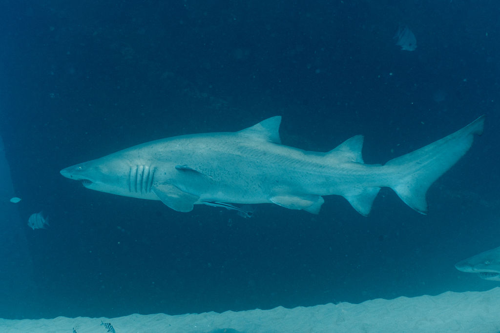 69336017-61dd-41ca-ad86-0e86c96493b3