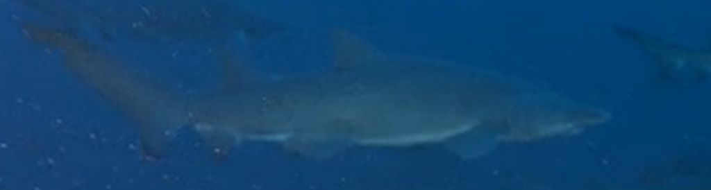 921a6e68-326b-49e5-9efb-b9c4cb75dae6