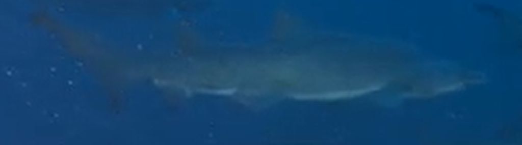 921a6e68-326b-49e5-9efb-b9c4cb75dae6