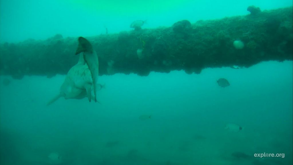 134bf251-8537-4bb6-a32b-ab735d03da67