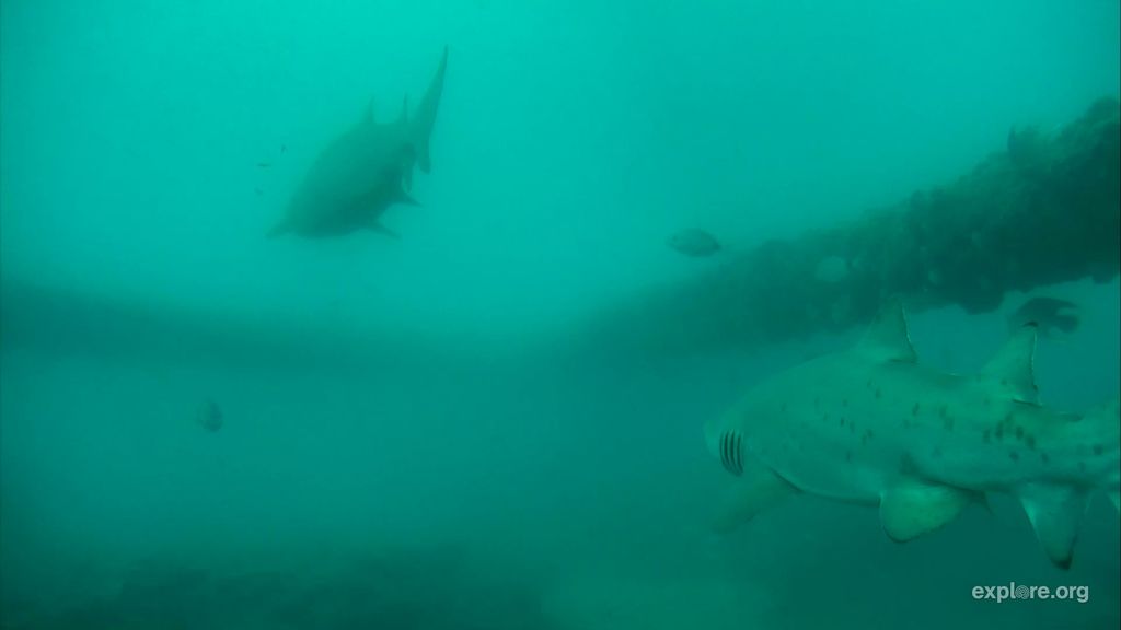 134bf251-8537-4bb6-a32b-ab735d03da67