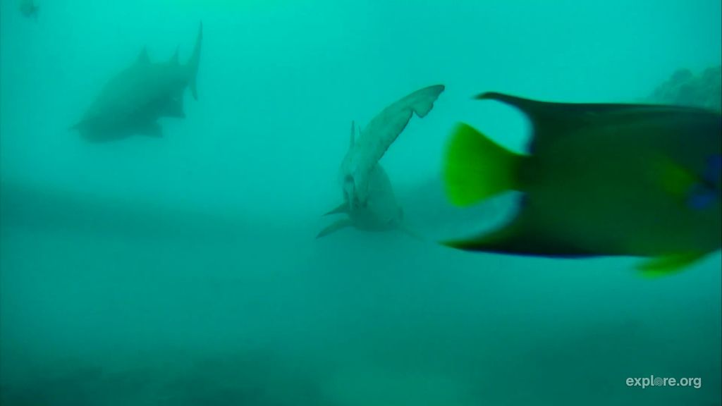 134bf251-8537-4bb6-a32b-ab735d03da67