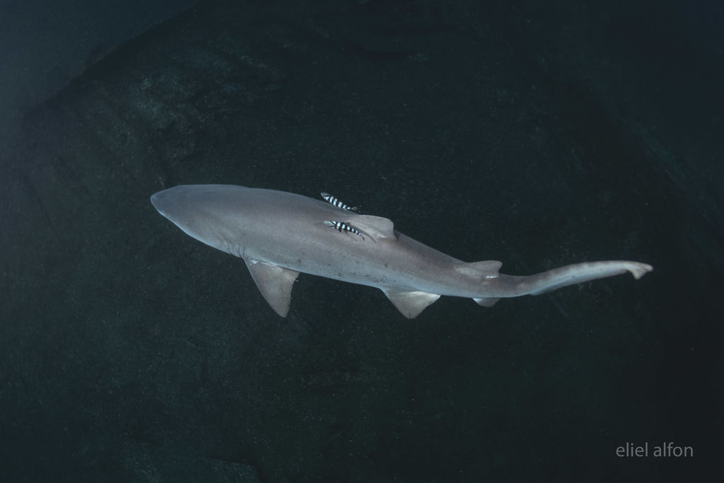 edd7cac7-7660-4173-986c-e40c32a0fc0a