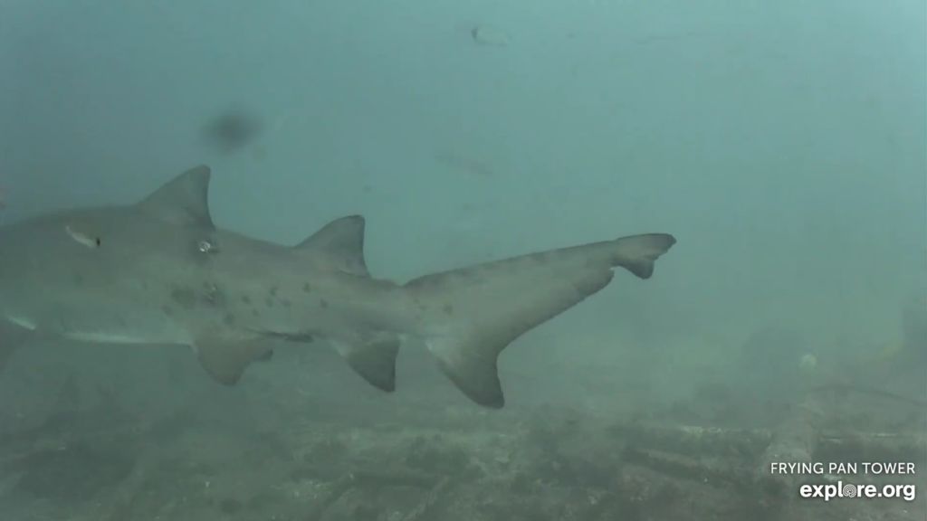 a4408b9b-cf05-4d7b-9dfc-043e81d67ab5