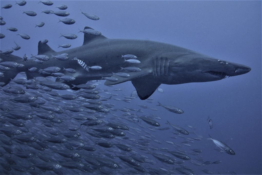 eb8debe7-aa31-4628-b29b-580be9d480ef