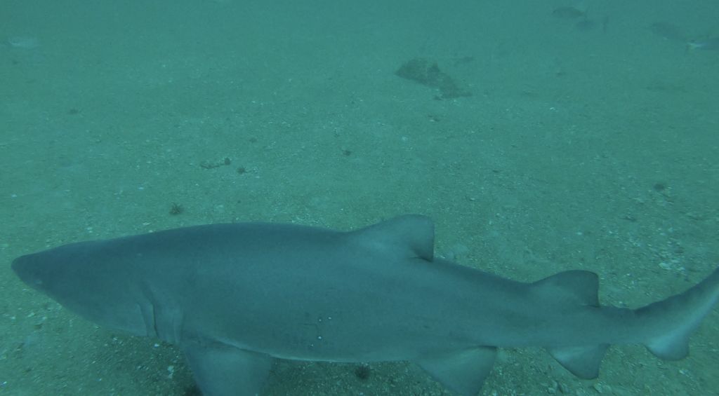 9ec86e83-4320-4fe2-b6b0-aafd408cbe4a