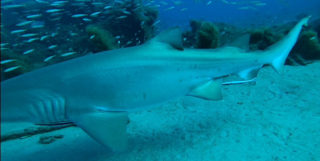 5d60d141-c59b-42ae-a407-68f4d980c04c