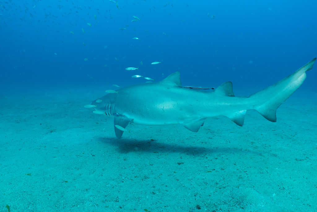 2b49f539-f79f-4f8c-831a-4078ce9f1693