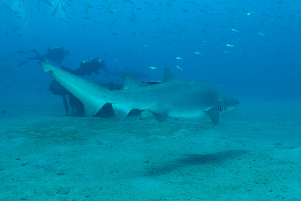 2b49f539-f79f-4f8c-831a-4078ce9f1693