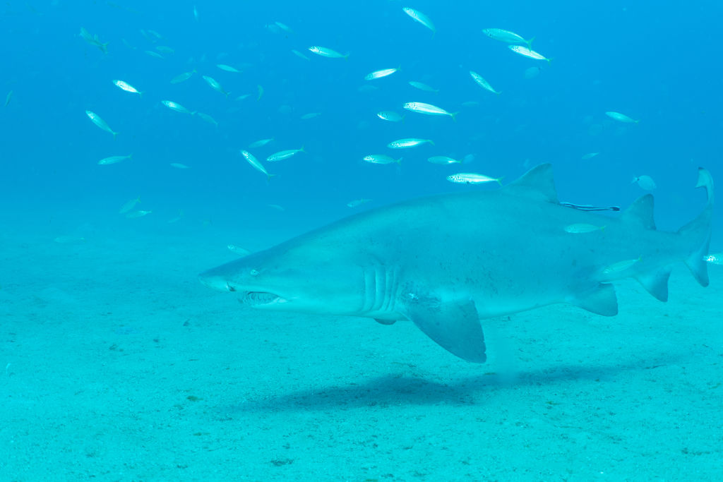 2b49f539-f79f-4f8c-831a-4078ce9f1693