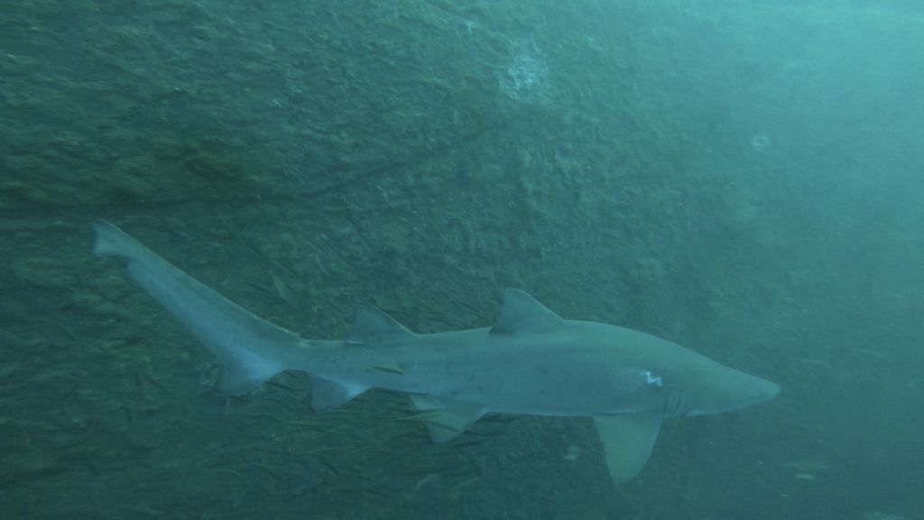 bdb3771b-fd5d-443f-b899-e124219ebd69