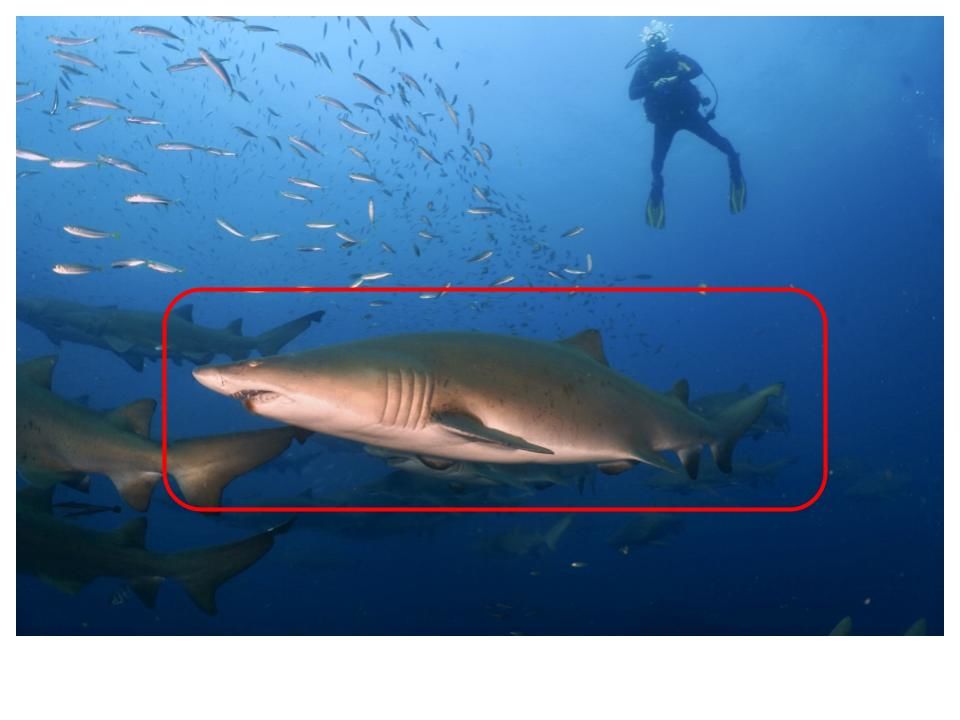 c6a6cfd9-1d94-427c-8a20-801503cb9f00