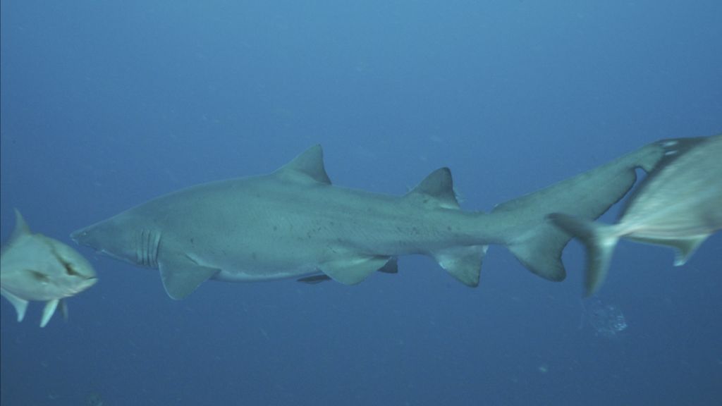 2a8f7acb-50ed-4314-8274-4b3ac3834690