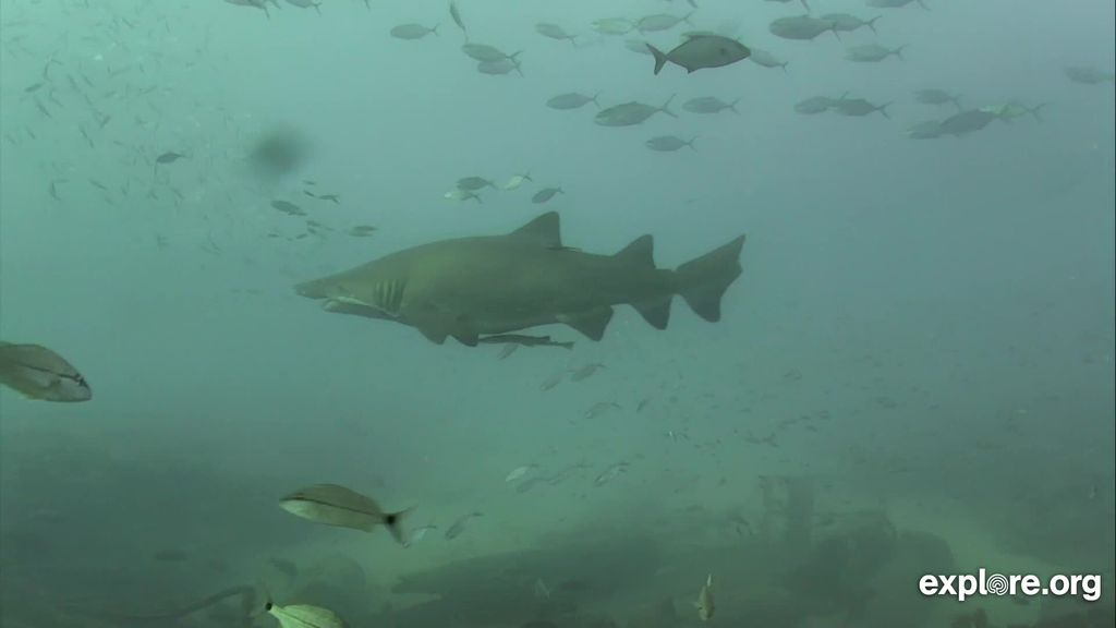 b7c4b156-56f5-49d4-9692-4237985f4750