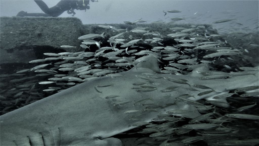 bd8e332c-0c13-4fc5-b4ee-547d5781b9fc