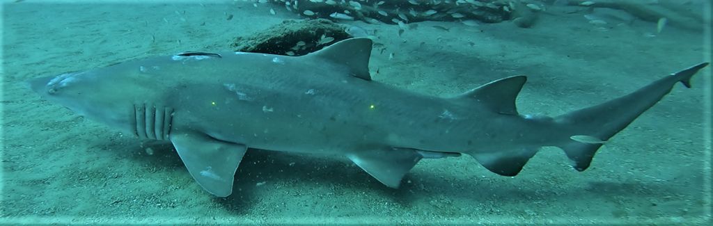 c9ce7192-ed80-4c40-85c2-56063ae39cdd