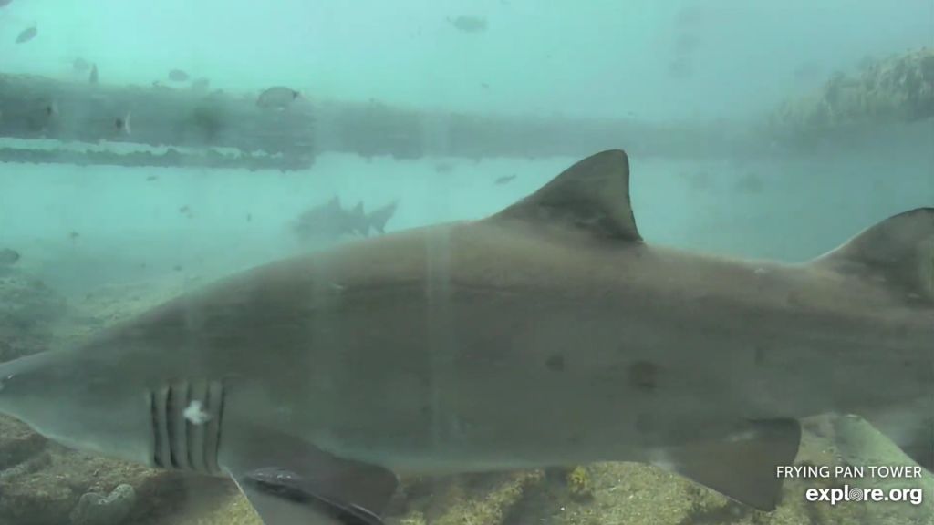 fc92307d-fa86-4a1c-b5d9-a3fb4f4dba21