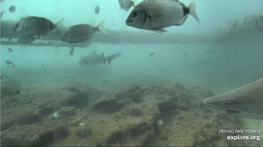 fc92307d-fa86-4a1c-b5d9-a3fb4f4dba21