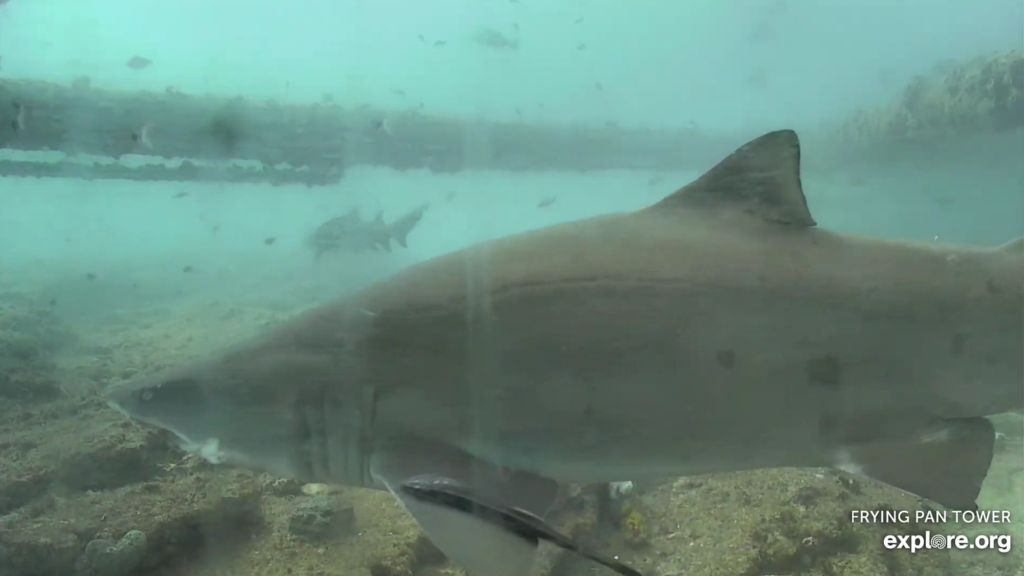 fc92307d-fa86-4a1c-b5d9-a3fb4f4dba21