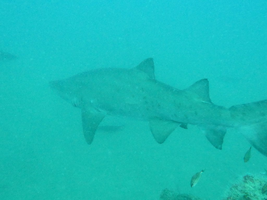 35dbb563-1b46-427c-87e9-07a6f4c9f082