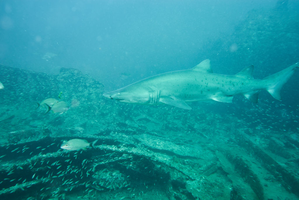 17fe835d-5457-41e0-8817-08099ea50add