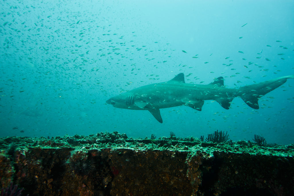 ce0b1611-d392-433b-aeb9-1c71d1ca54e6