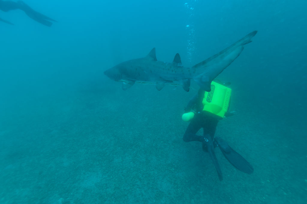 cb7920fb-8772-4ed7-aa7a-664125f73ec6