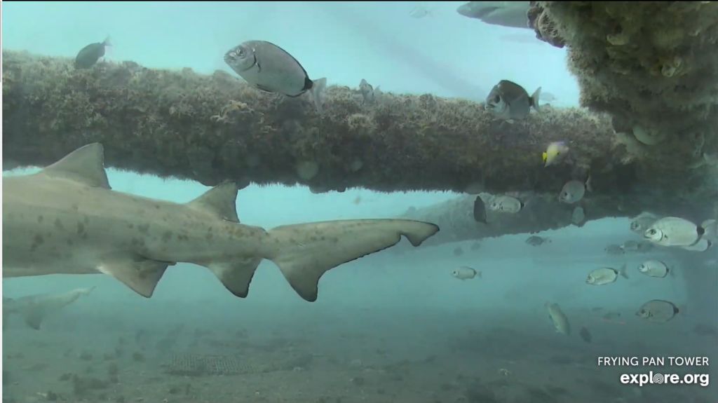 bcaf3f33-8db9-4c27-9a0f-03c01f669aad