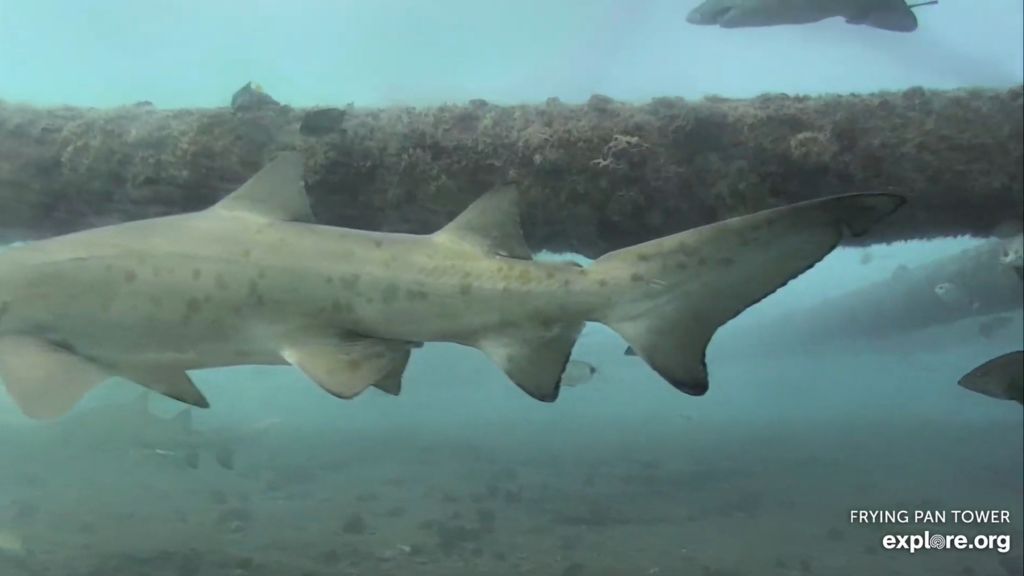 bcaf3f33-8db9-4c27-9a0f-03c01f669aad