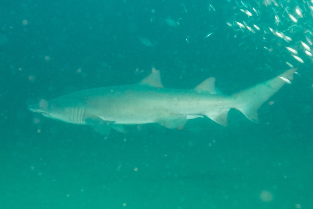 eb803ca8-2f4e-4c47-98e2-e75de705ca77