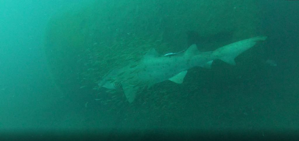 34a592fa-497e-4ed3-9be2-afc231257df8