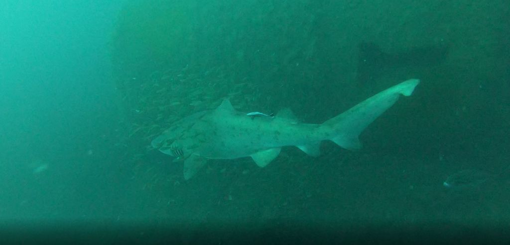 34a592fa-497e-4ed3-9be2-afc231257df8